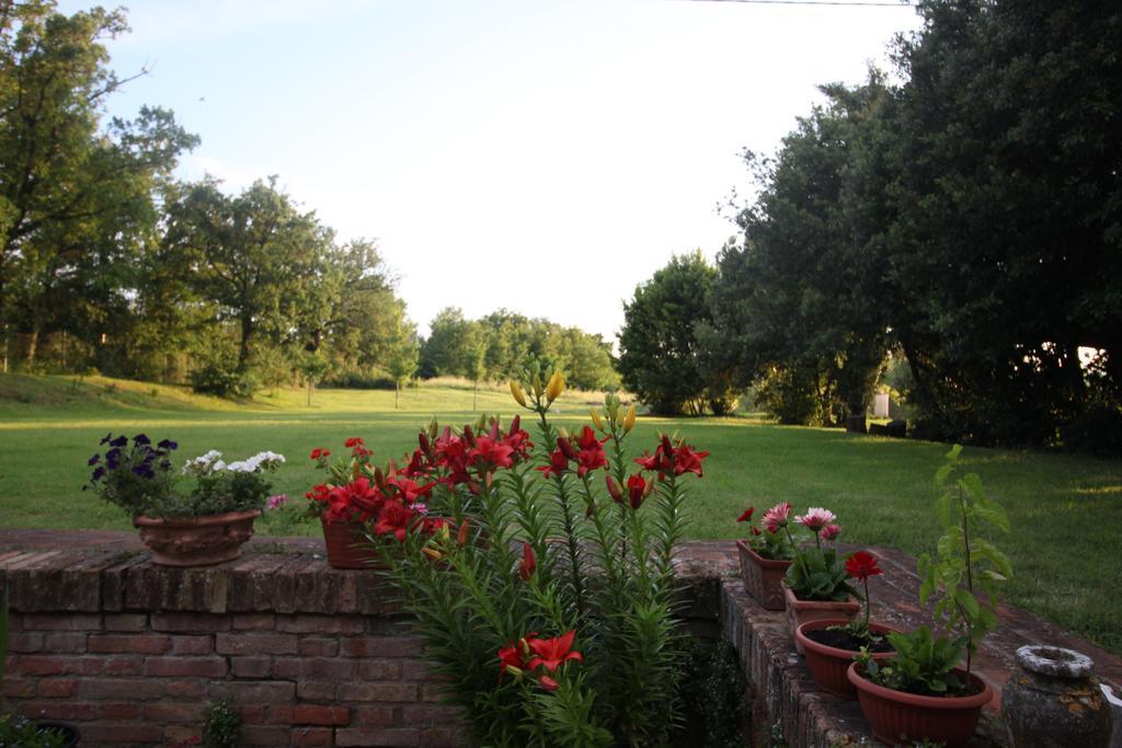 Tenuta La Santissima San Rocco a Pilli Zewnętrze zdjęcie