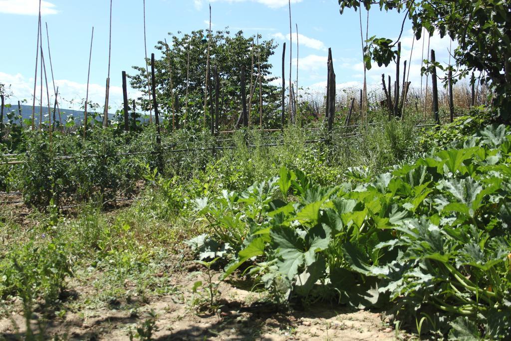 Tenuta La Santissima San Rocco a Pilli Zewnętrze zdjęcie